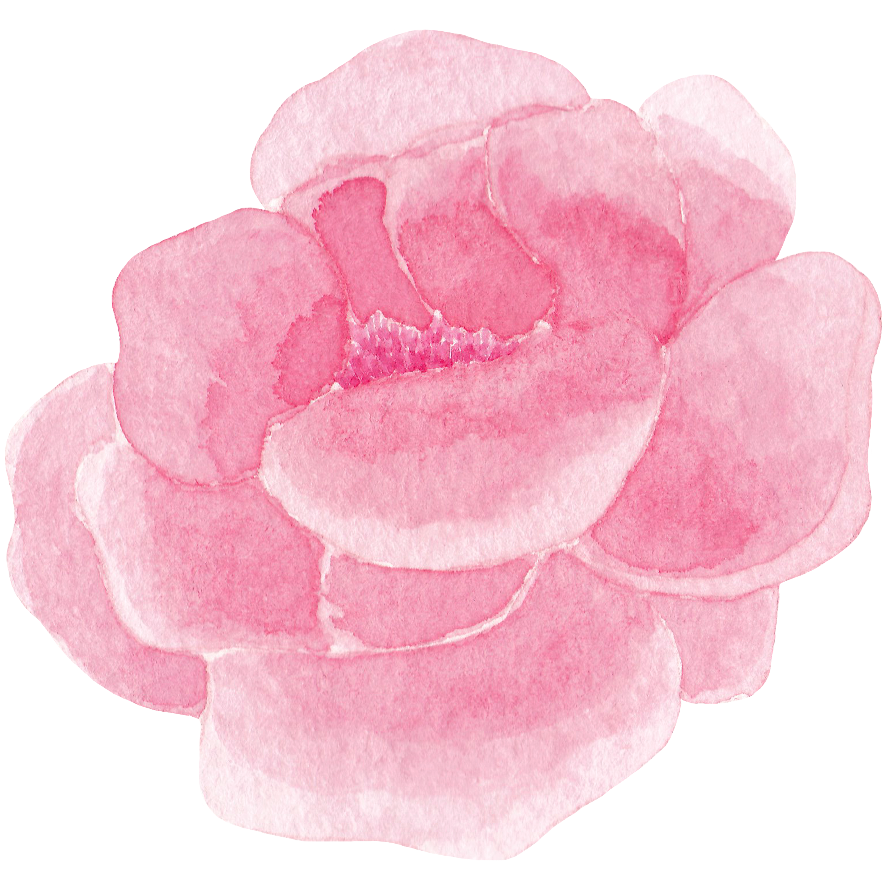 flower decoration